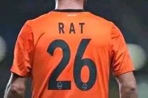 Rat. Footballers funny names